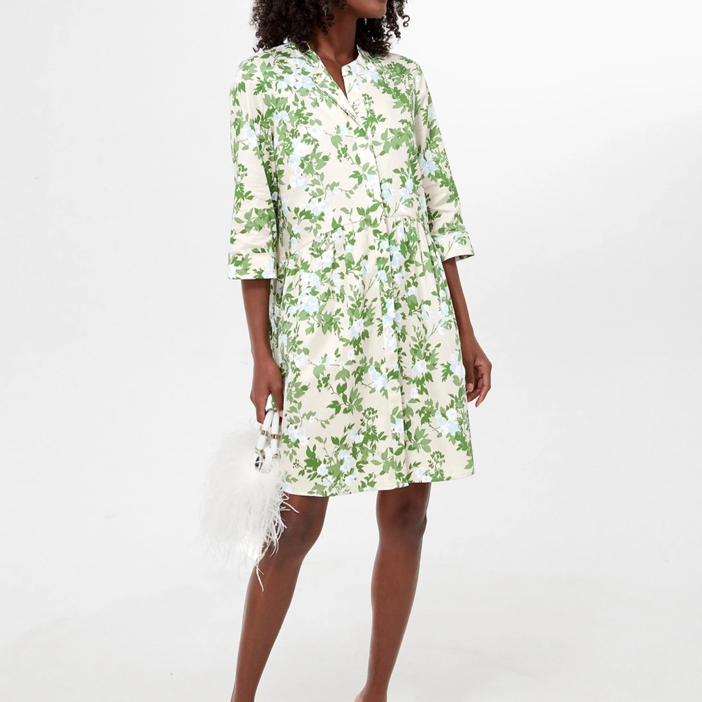 💚🩵TUCKERNUCK Royal Shirt Dress🩵💚